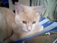 /album/our-animal-pics/picture-501-jpg/